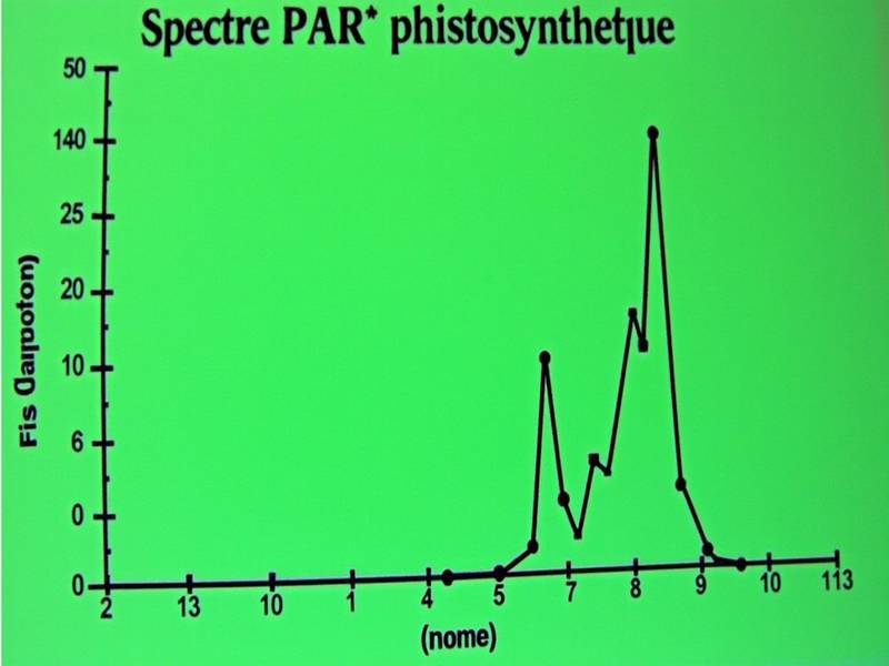 Graphique du spectre PAR photosynthétique