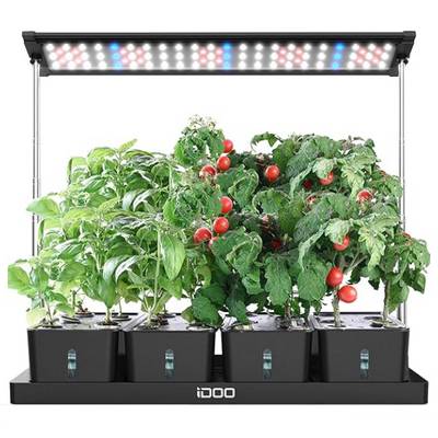 Kit culture DWC simple